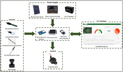 Implementation of an in-field IoT system for precision irrigation management